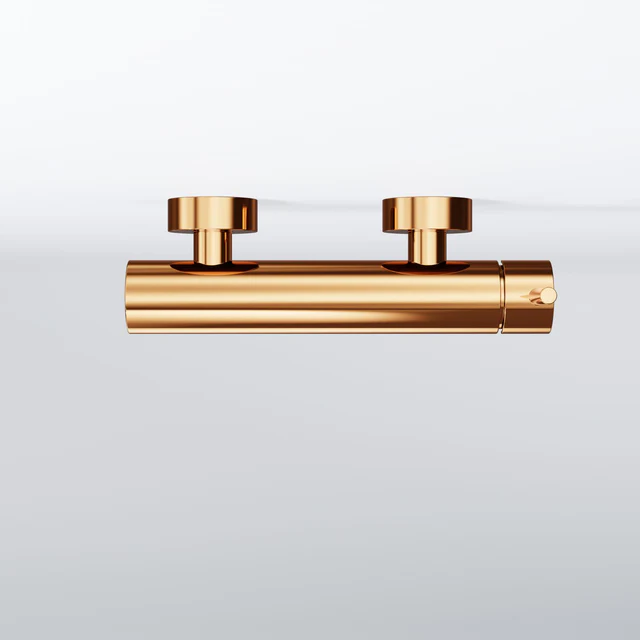 Series 100 Exposed single lever mixer for shower 3