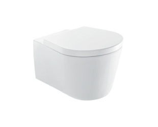Wall-mounted rimless toilet 53 2