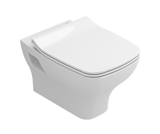 Wall-mounted rimless toilet 53